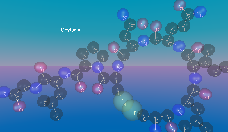 Oxytocin.x3d._VP_Entry.png