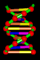 A period of helix (10 steps)