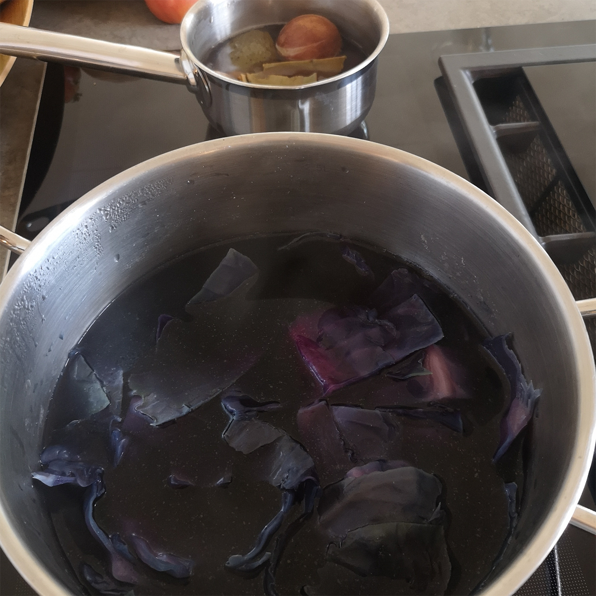 This red cabbage has the blues