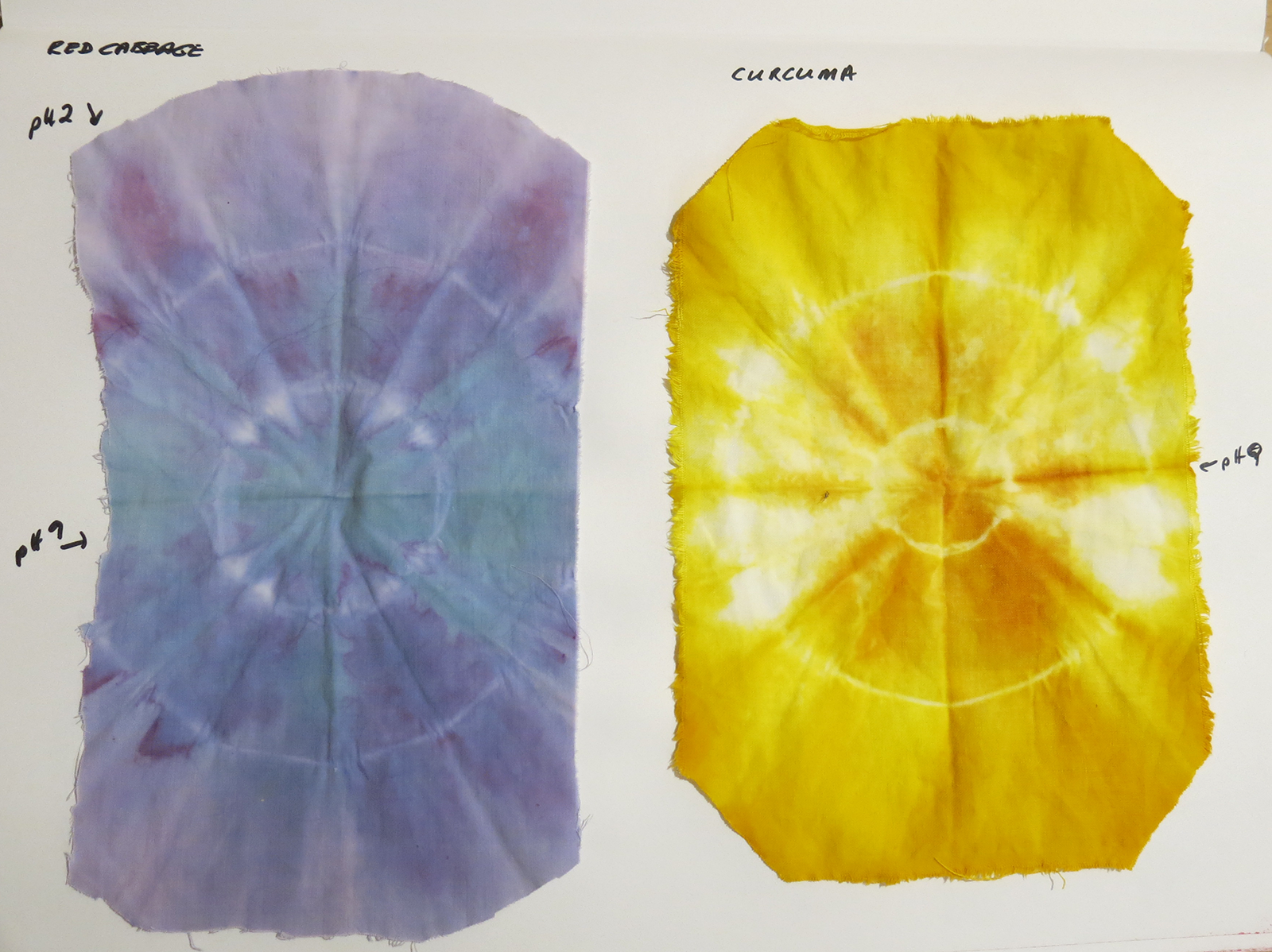 Thin cotton tie-dye with cabbage and curcuma, center dipped in pH 9 and ends in pH 2