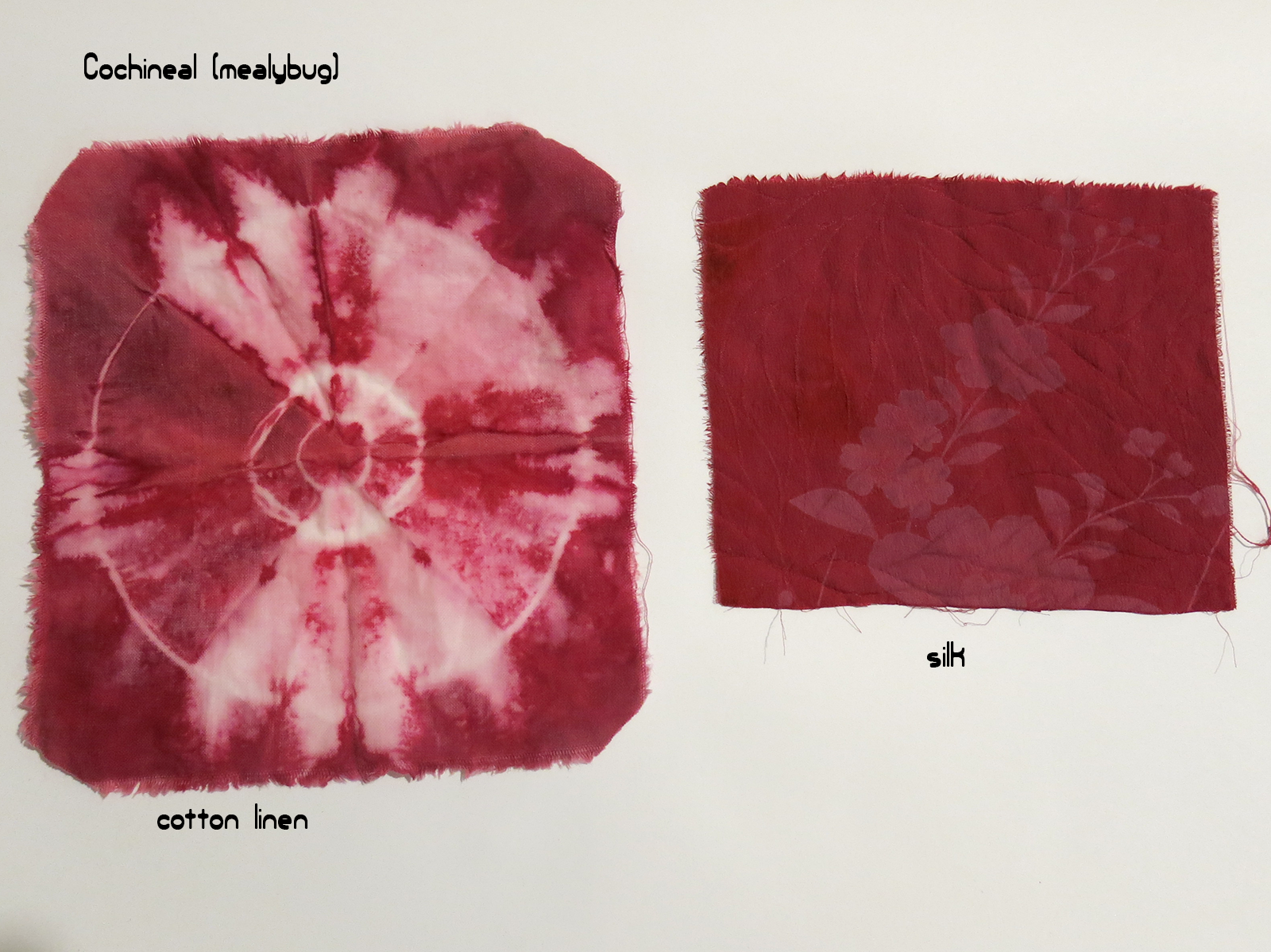 Rough cotton tie-dye and printed silk with cochnieal in iron/vinegar modifying bath (pH 3.5)