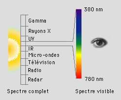 spectre des micro ondes